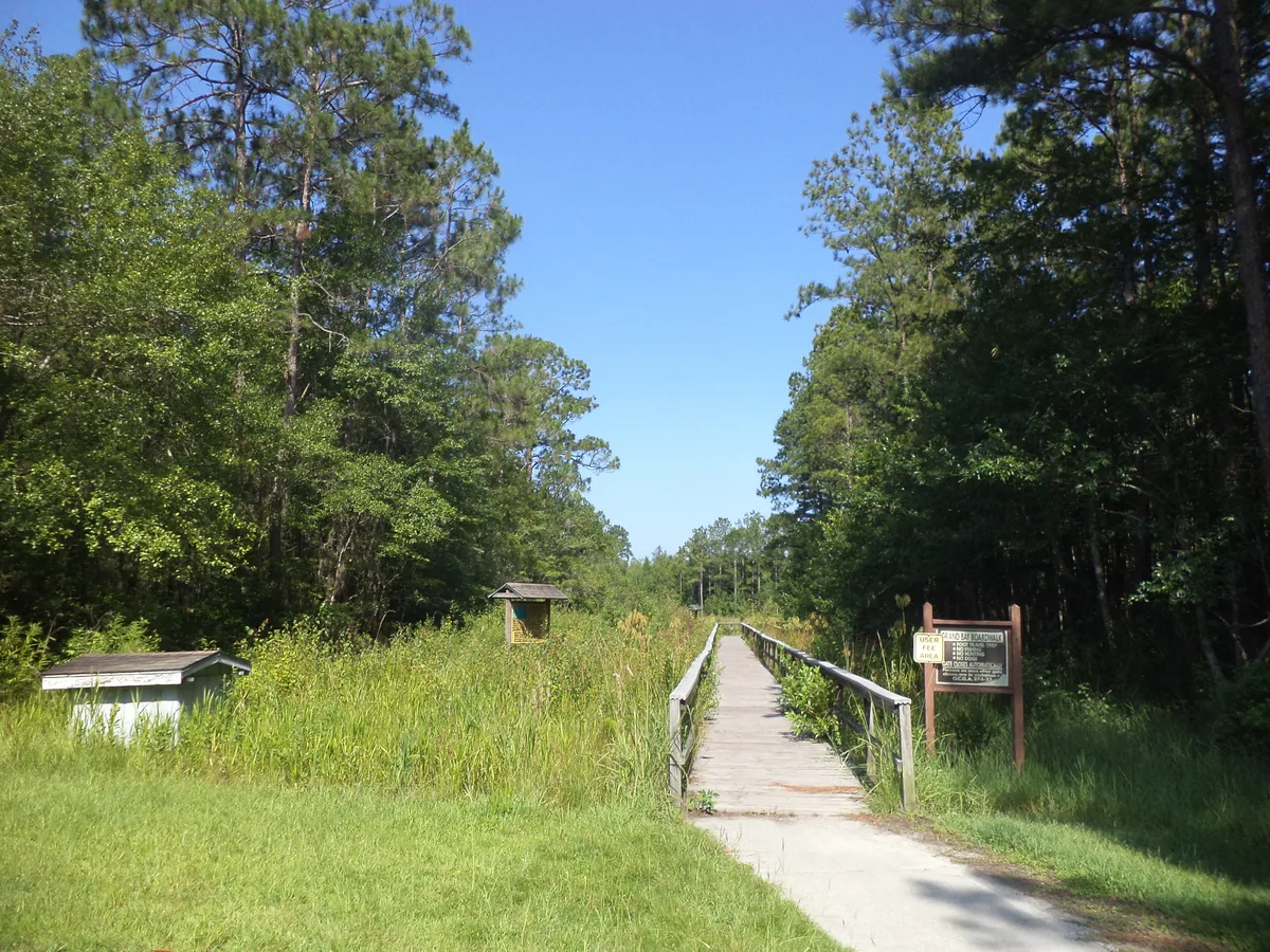 Boardwalk through Grand Bay Wetland